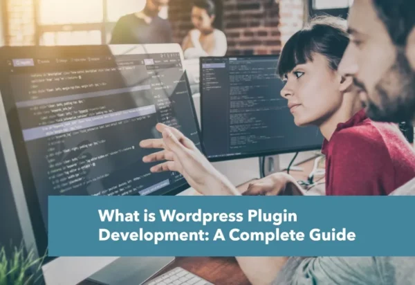 wordpress-plugin-development-1
